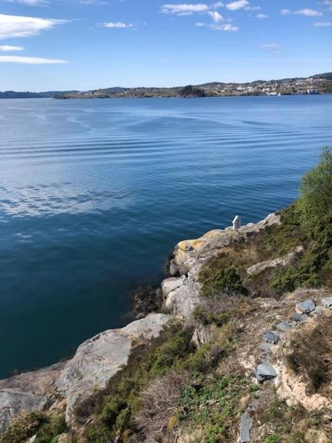 Koselig Nyoppusset 3 Roms Leilighet Med Egen Parkeringsplass I Rolige Omgivelse Naer Sjoen, 2 Mil Nord For Bergen Sentrum. Esterno foto